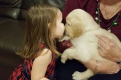 puppiesResized_20181224_213933