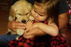 puppiesResized_20181224_214026