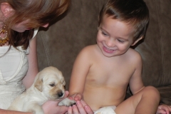puppiescotton3wke