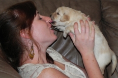 puppiescottonwk3f