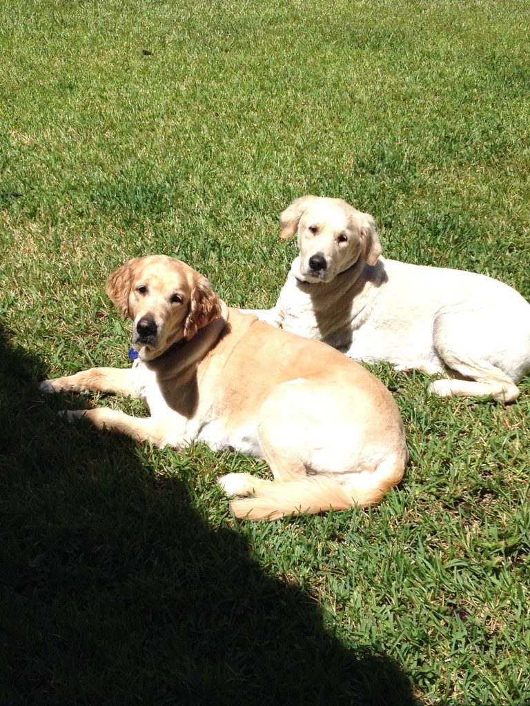 big girl and crosby