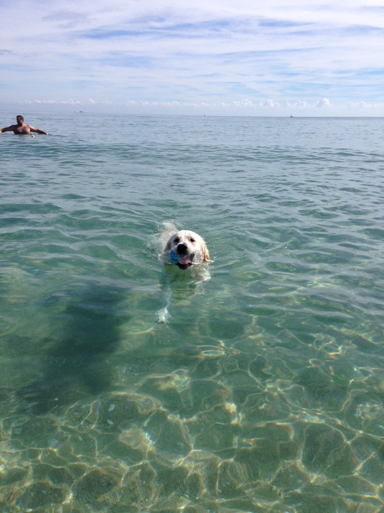 cassie swimming