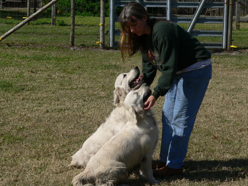 petey and sierra